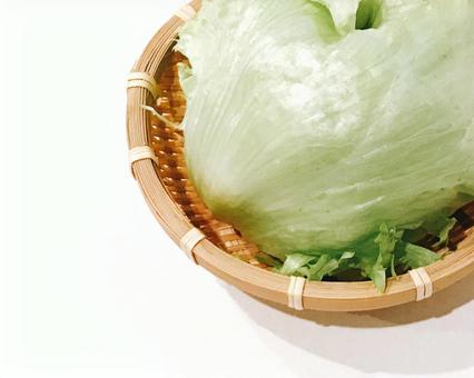 レタス レタス レタス,野菜,やさいの写真素材