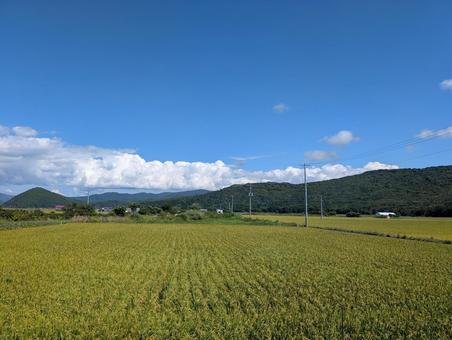 田舎の田園風景 田舎の田園風景の写真