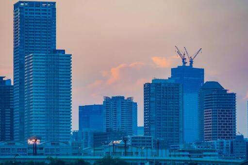 豊洲の高層ビル群夕景 東京,豊洲,高層ビルの写真素材