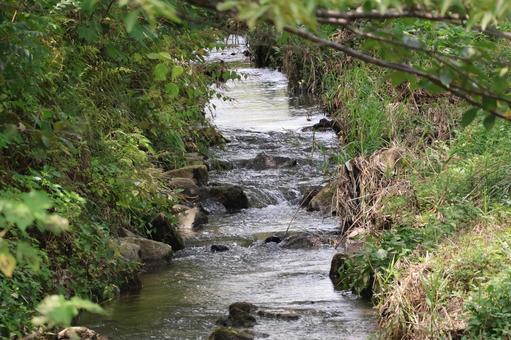 小川と植物のある風景 小川と植物のある風景 小川,植物,風景の写真素材
