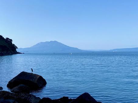 桜島と鳥と海 桜島,鹿児島,海の写真素材