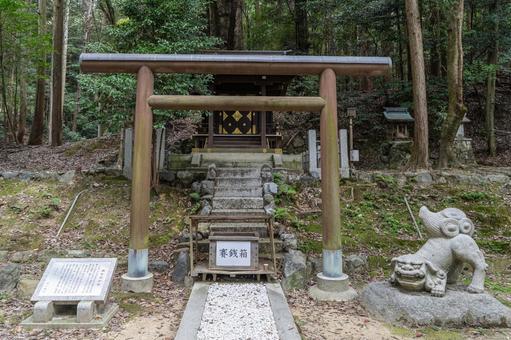 滋賀 近江神宮 栖松遥拝殿 滋賀 近江神宮 栖松遥拝殿 近江神宮,神社,滋賀県の写真素材