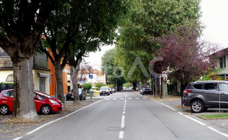 イタリアの郊外の住宅地　並木道の乗用車 並木道,住宅地,住宅街の写真素材