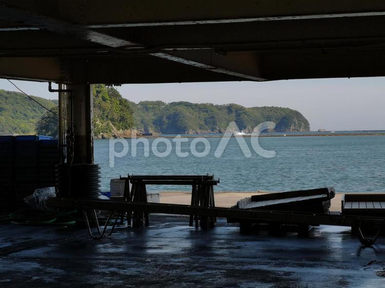 漁港の風景 漁港,夏,青空の写真素材