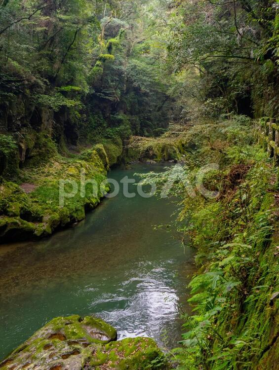 三之宮峡の風景 三之宮峡,宮崎,小林の写真素材