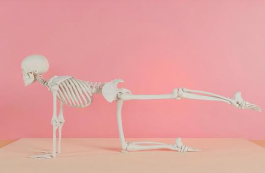 Skeleton taking a yoga pose Skeleton taking a yoga pose