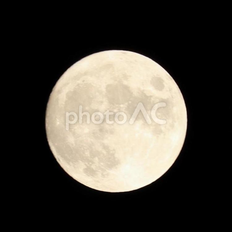名月〜9月の月夜〜 名月,月,夜の写真素材