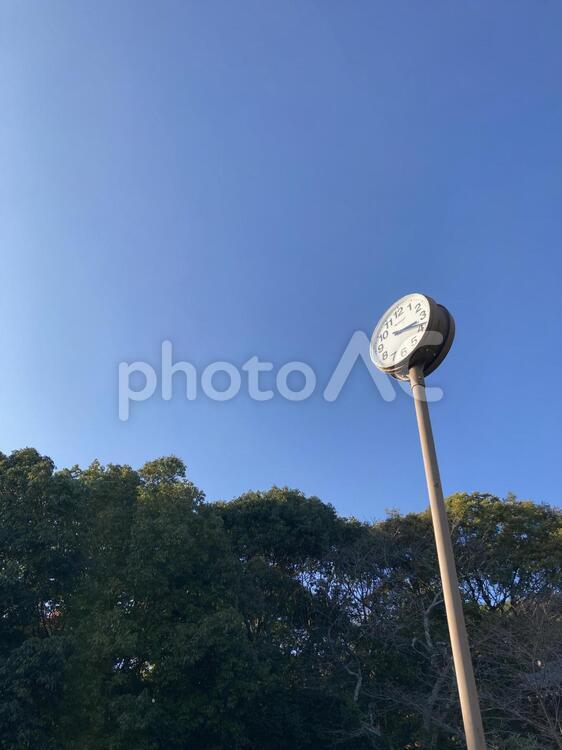 公園の時計 公園,時計,秋の写真素材