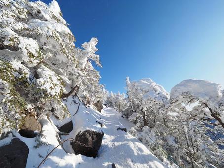 雪景色の登山道（北横岳） 北横岳,八ヶ岳,北八ヶ岳の写真素材