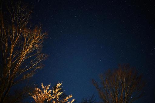 済んだ星空 済んだ星空 星,新月,夜空の写真素材