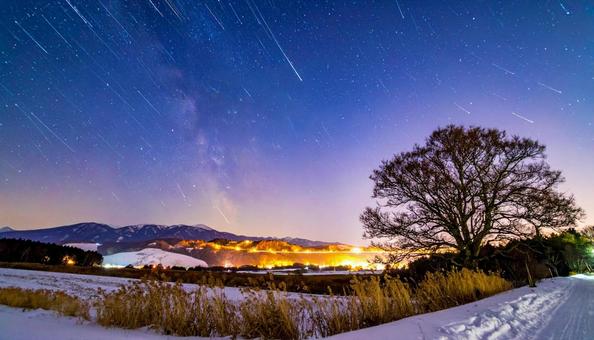 ハルニレの木 星の光跡風景 ハルニレの木 星の光跡風景の写真