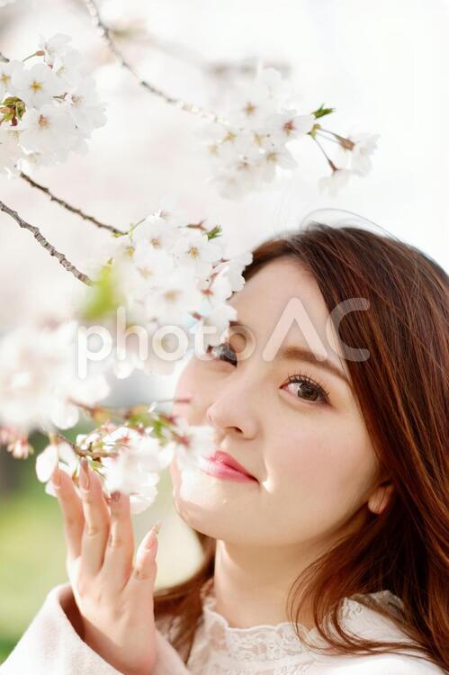 桜と派手目なメークの日本人女性27 女性,日本人,アジア人の写真素材
