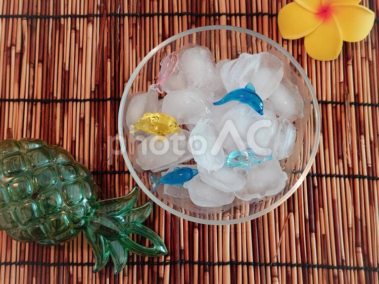 氷とイルカ、夏のイメージ1 夏のイメージ,トロピカル,氷の写真素材