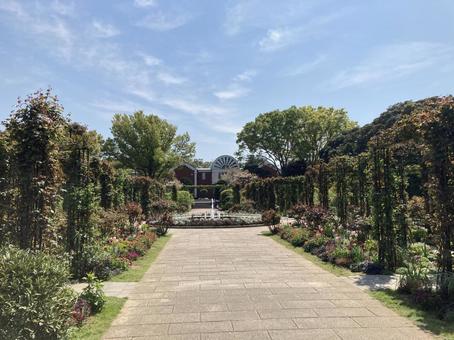 山下公園 山下公園 海,景色,ヨコハマの写真素材