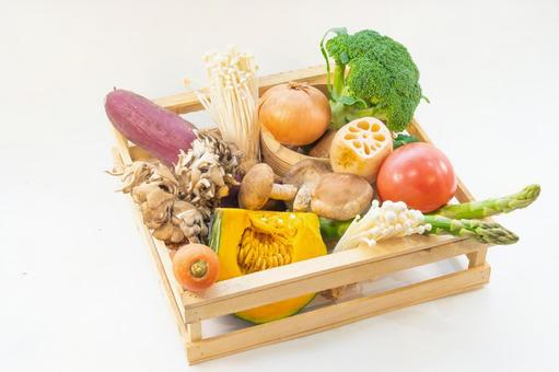 木箱に盛られた野菜 木箱に盛られた野菜 野菜,カボチャ,トマトの写真素材