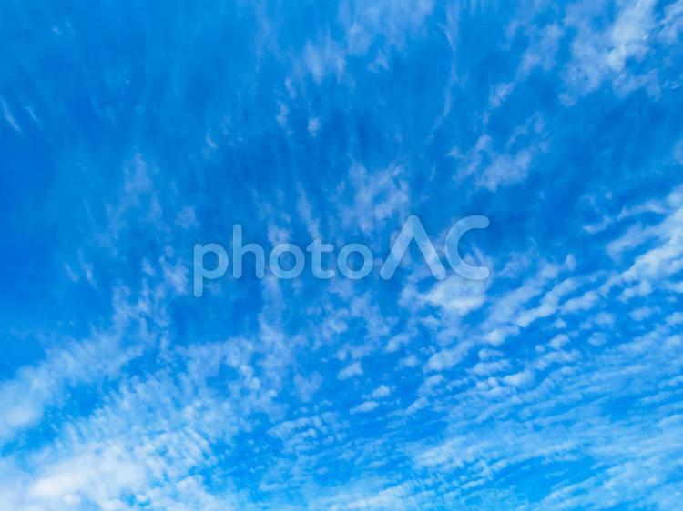 青空に浮かぶ雲 空,雲,青空の写真素材