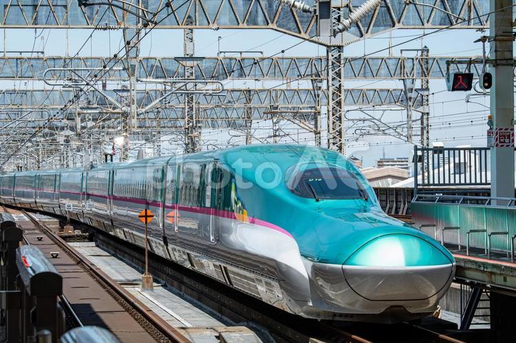 上りで入線してくる青森新幹線E5系 青森,東北,新幹線の写真素材