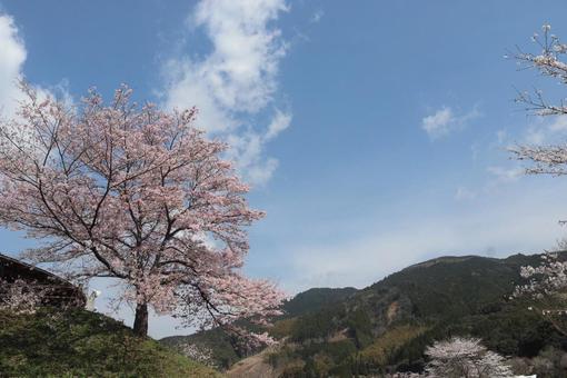 汗の原親水公園 汗の原親水公園の写真