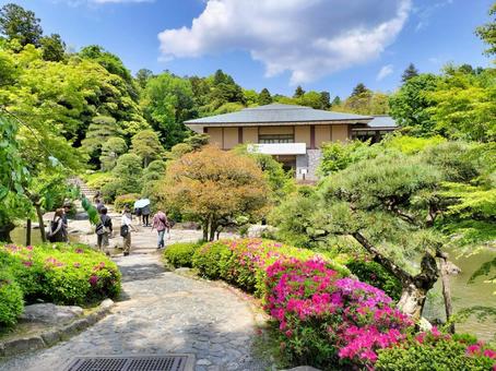 成田山新勝寺成田山公園 成田山書道美術館 成田山新勝寺成田山公園 成田山書道美術館 成田山書道美術館,成田山公園,成田山の写真素材