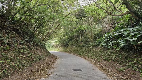下り坂 下り坂 下り坂,坂,自然の写真素材