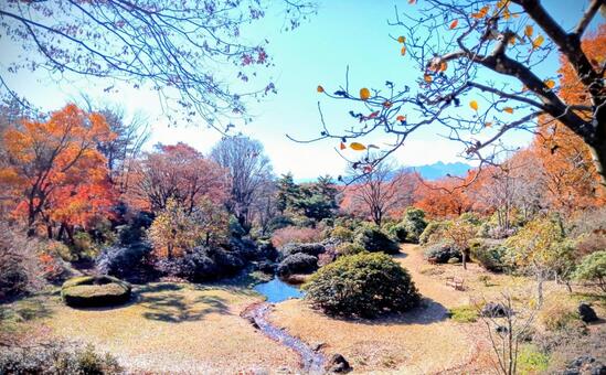 赤城自然園　秋　群馬県渋川市 赤城自然園,秋,群馬県渋川市の写真素材