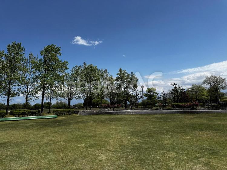晴れ空 羽咲ピースフル公園,公園,春の写真素材