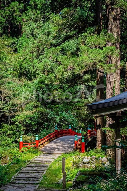 山形県　羽黒山五重塔 風景,草木,草の写真素材