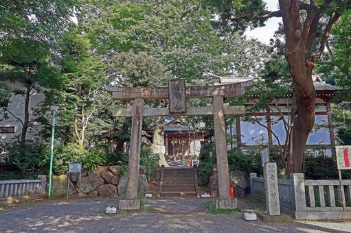 青渭神社(調布) 青渭神社(調布) 青渭神社,武蔵国多摩郡八座,青渭大神の写真素材