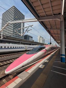 500系新幹線線（特別色・ピンク・縦） 新幹線,こだま,500系の写真素材
