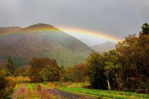 虹⑿ 虹,七色,山の写真素材