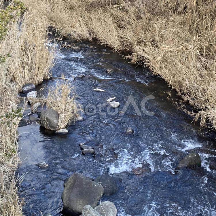 南小国町赤馬場の川④ 川,綺麗な水,南小国町の写真素材
