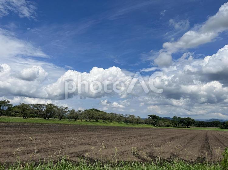何が植えられるのかな？？？ 自然,風景,木の写真素材