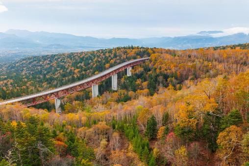 秋の三国峠 三国峠,秋,紅葉の写真素材