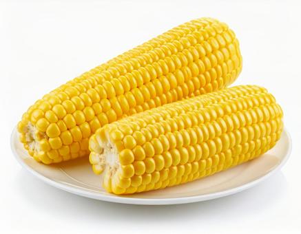 とうもろこし とうもろこしの写真