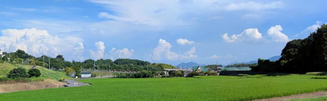 里山の夏の景色 里山の夏の景色の写真