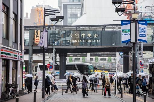 雨の渋谷中央街 雨の渋谷中央街の写真