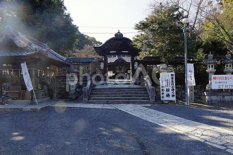 パワースポット　滋賀県　三尾神社⑤　参道 パワースポット,滋賀県大津市,三尾神社の写真素材