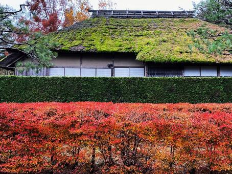 色鮮やかな武家屋敷の佇まい 色鮮やかな武家屋敷の佇まいの写真