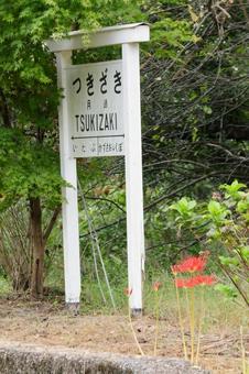 小湊鐵道 小湊鐵道の写真