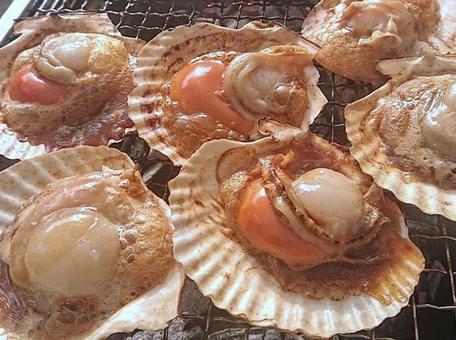 Grilled scallops with shells in butter, scallops, with a shell, grilled butter, JPG