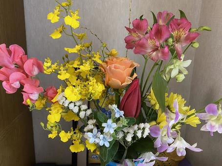 玄関の生け花 生け花,玄関花,花の写真素材