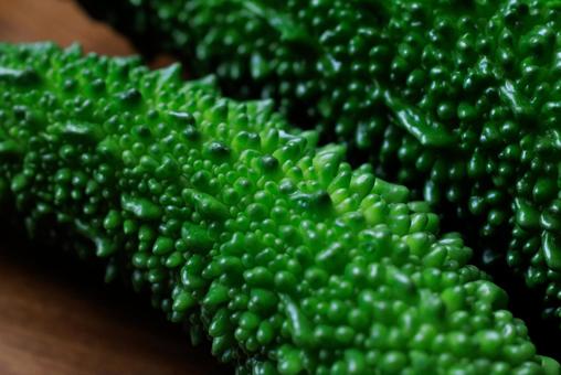 ゴーヤ ゴーヤ ゴーヤ,野菜,実の写真素材