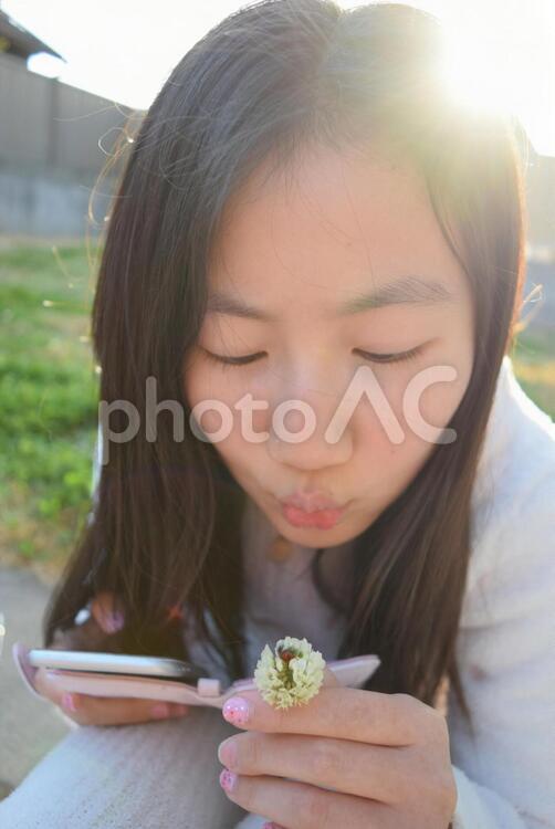 てんとう虫見つけた 1,かわいいです,てんとう虫の写真素材