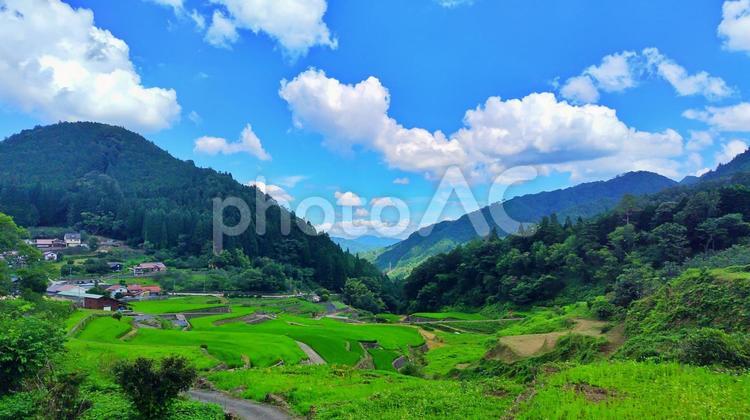 【広島県】棚田百選の井仁の棚田 井仁の棚田,棚田,安芸太田の写真素材