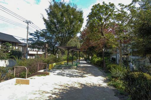 玉川上水第二公園の砂場とベンチ 玉川上水第二公園,木々,遊歩道の写真素材