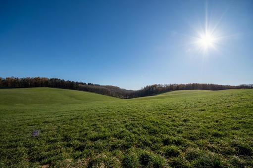 輝く太陽と広大な牧草地 丘,樹木,起伏の写真素材