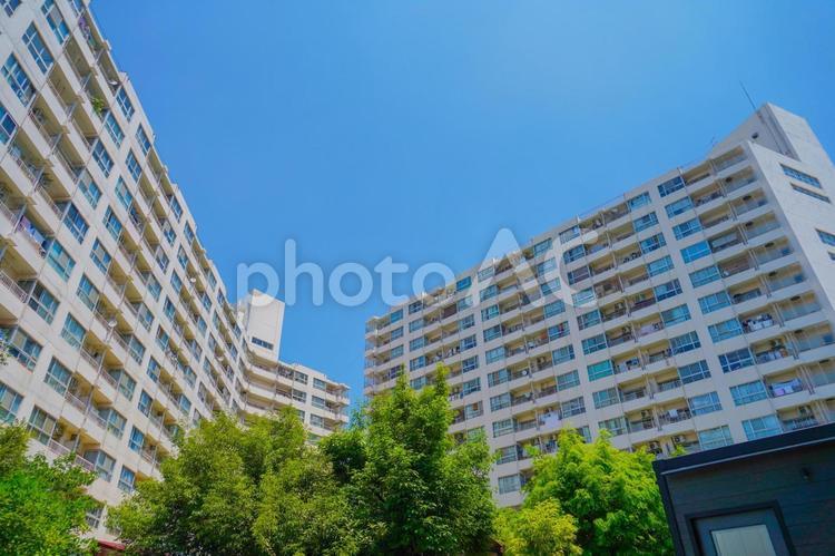 住宅街のビルと緑 住宅街,ビル,緑の写真素材