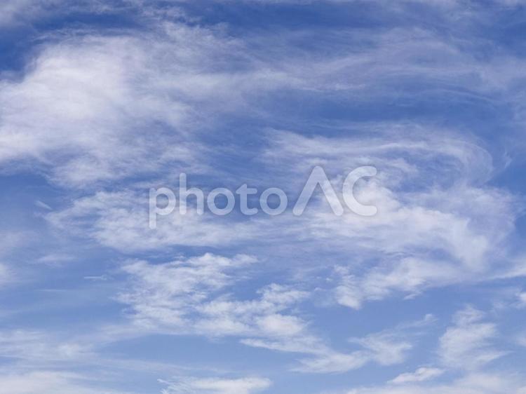 【風景写真】夏空 夏空,空,雲の写真素材