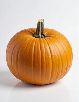 白い背景に黄色いかぼちゃの写真