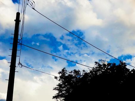 雲のある空と電柱と木 雲のある空と電柱と木の写真